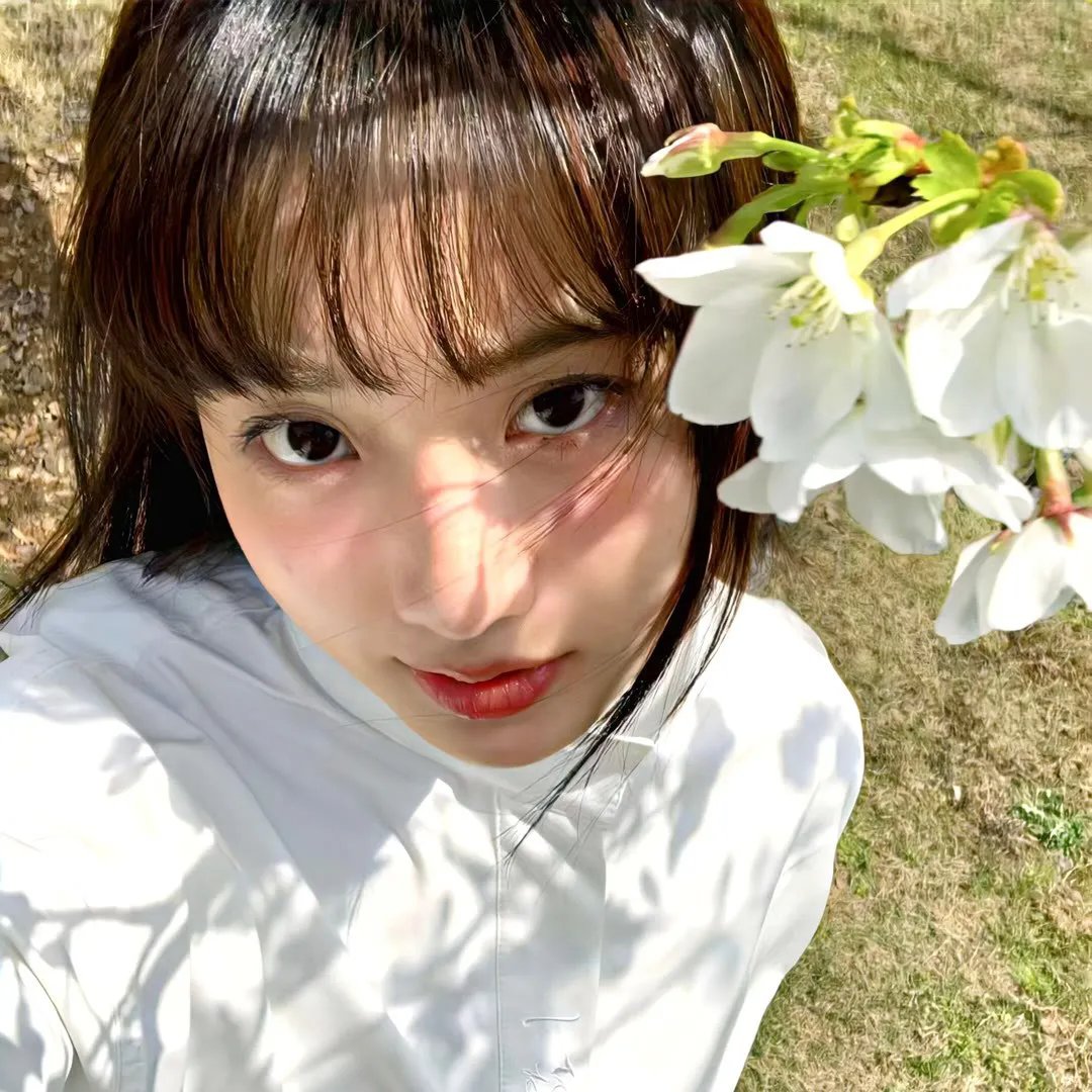 立花登青春备忘录
